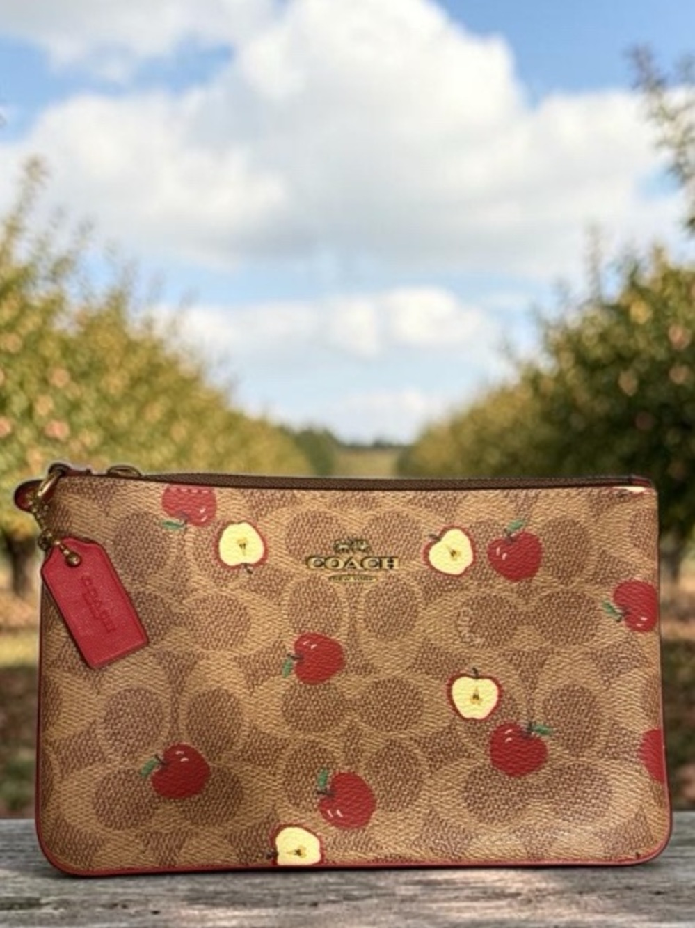 Coach apple signature C coated canvas zippered pouch W DUST BAG